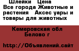 Шлейки › Цена ­ 800 - Все города Животные и растения » Аксесcуары и товары для животных   . Кемеровская обл.,Белово г.